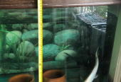 Aquarium for sale (sunsun)
