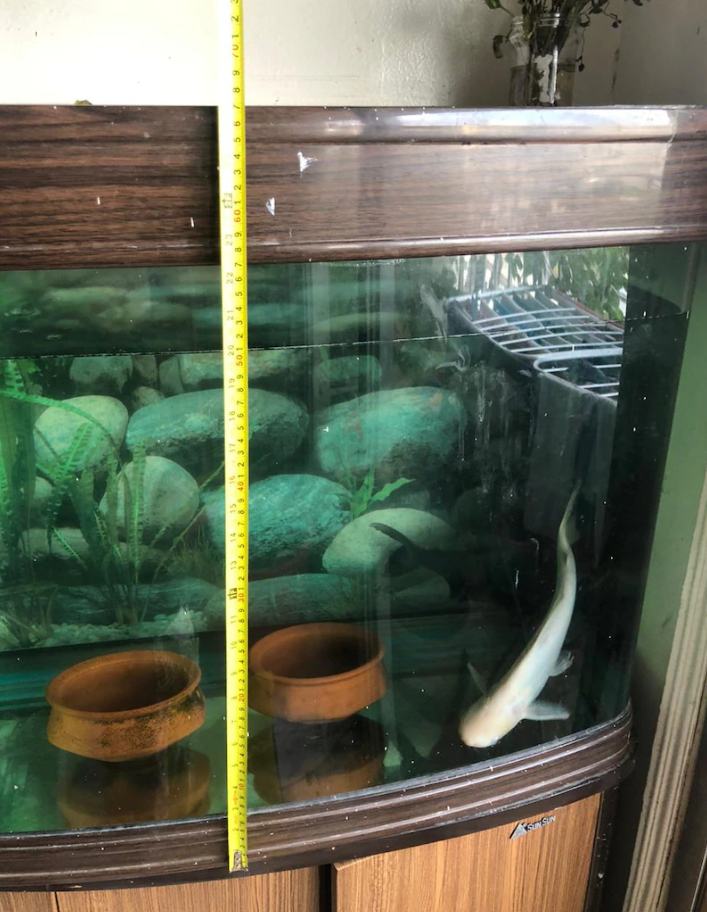 Aquarium for sale (sunsun)
