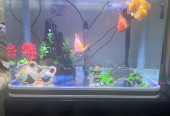 Aquarium Brand New