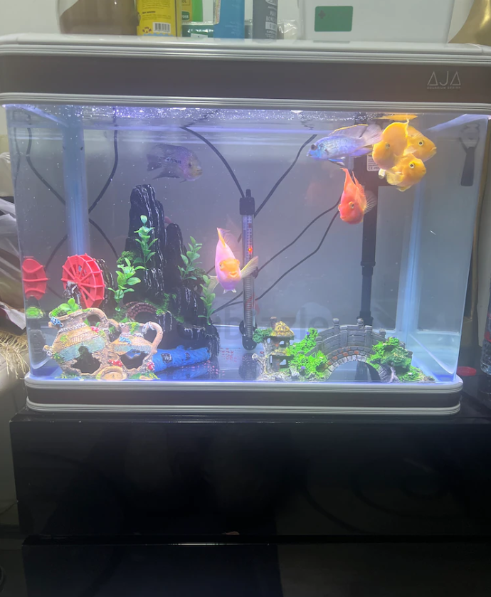 Aquarium Brand New