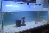 Fish tank only 1 metres