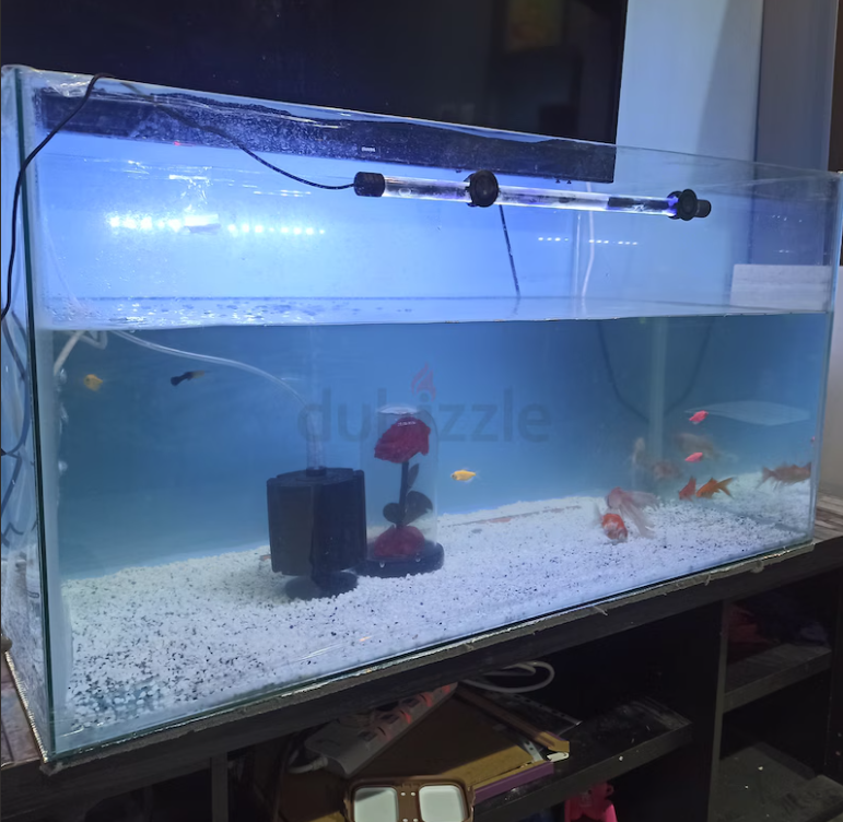Fish tank only 1 metres