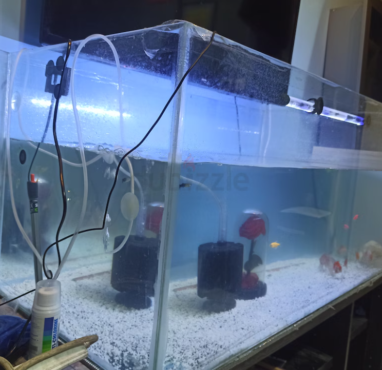 Fish tank only 1 metres