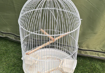 Screenshot-2025-02-07-132203