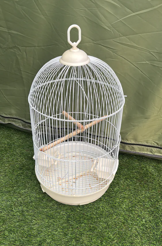 Birds cage white