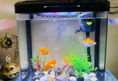 Fish Aquarium with Accessories