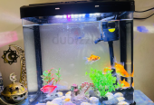 Fish Aquarium with Accessories