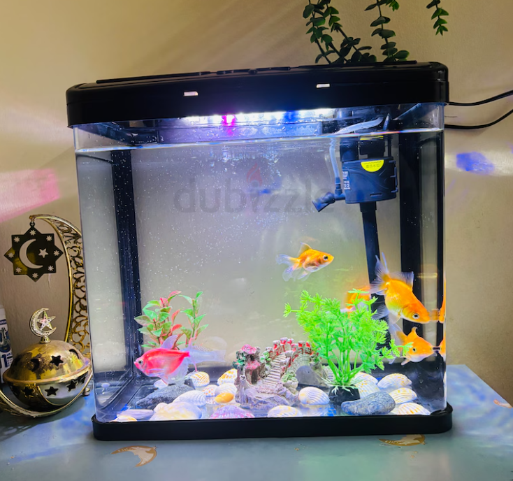 Fish Aquarium with Accessories