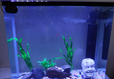 Screenshot-2025-02-07-133556