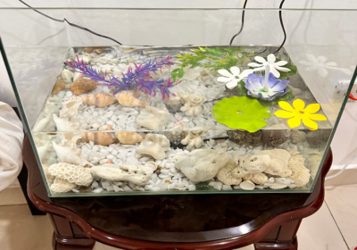 Screenshot-2025-02-07-133759