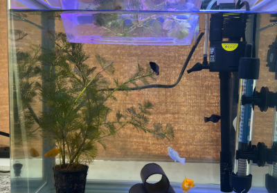 Screenshot-2025-02-07-134321