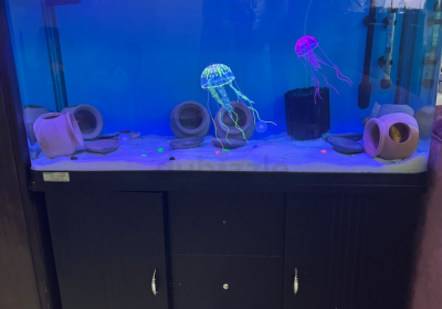 Screenshot-2025-02-07-134448