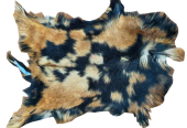 Unique Coat-hide100% Real Premium, Goat Skin Rug, Throw, Soft Hair-On Leather Rug Material