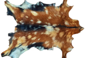 Unique Coat-hide100% Real Premium, Goat Skin Rug, Throw, Soft Hair-On Leather Rug Material