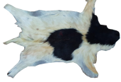 Unique Coat-hide100% Real Premium, Goat Skin Rug, Throw, Soft Hair-On Leather Rug Material