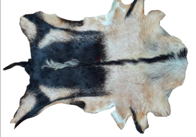 Screenshot-2025-02-07-141414