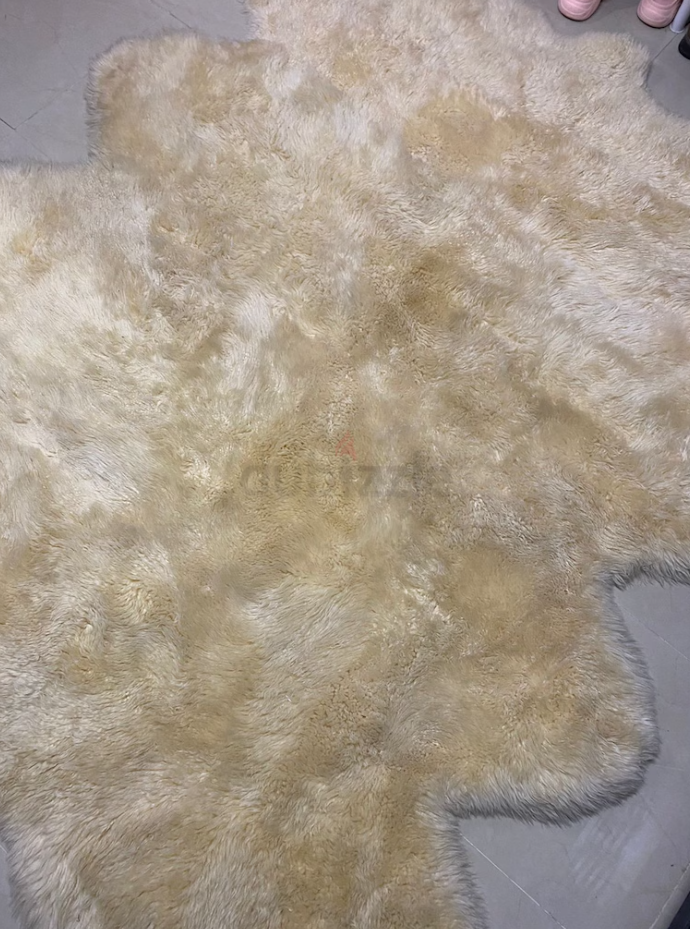 الشارقة شارع جمال عبد الناصر المجاز ٢