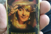 Mughaleazam card