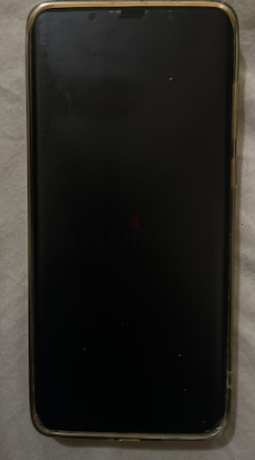 عجمان النعميه