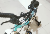 Kids bicycle
