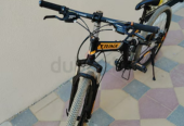 Mountain bicycle for sale