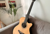Acoustic Guitar