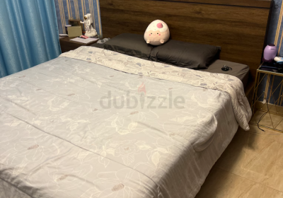 Screenshot-2025-02-08-135901