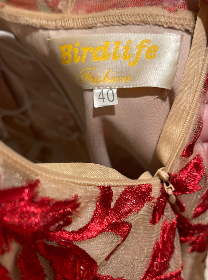 عجمان راشدية 1