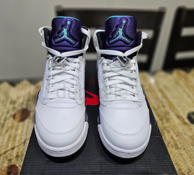 Jordan 5 Grape 2013 (DS)