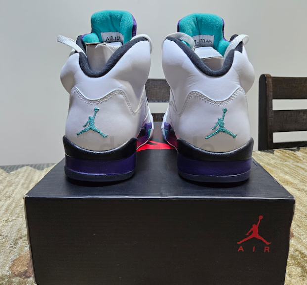 Jordan 5 Grape 2013 (DS)