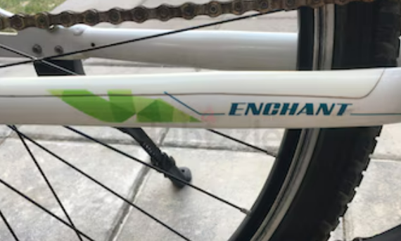 GIANT 27.5-Inch LIV Home by gaint