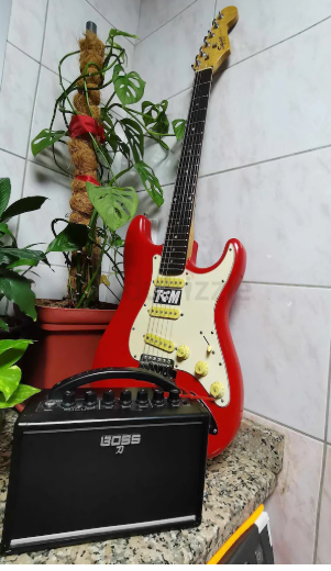 Electric Guitar