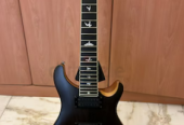 PRS Mark Holcomb 7 String