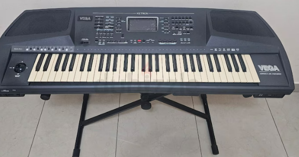 Vega Advanced Life Performer Organ
