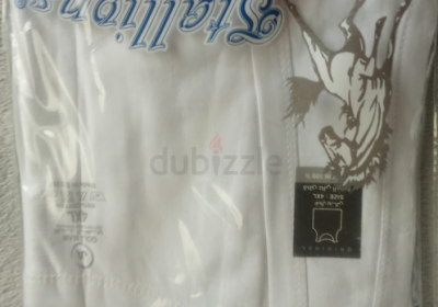 Screenshot-2025-02-09-121909