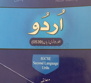 Screenshot-2025-02-09-130738