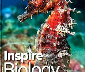 Screenshot-2025-02-09-134345