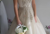 Bride wedding dress