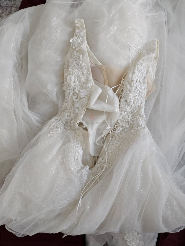 Bride wedding dress