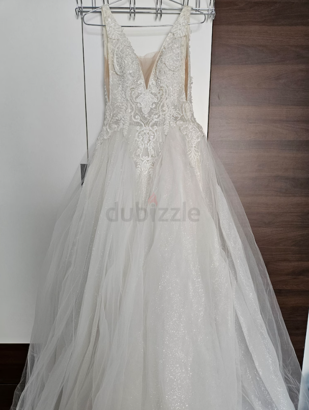 Bride wedding dress