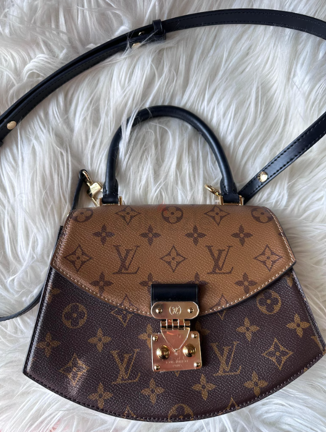 Louis Vuitton Tilsitt Bag
