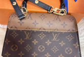 Louis Vuitton Tilsitt Bag
