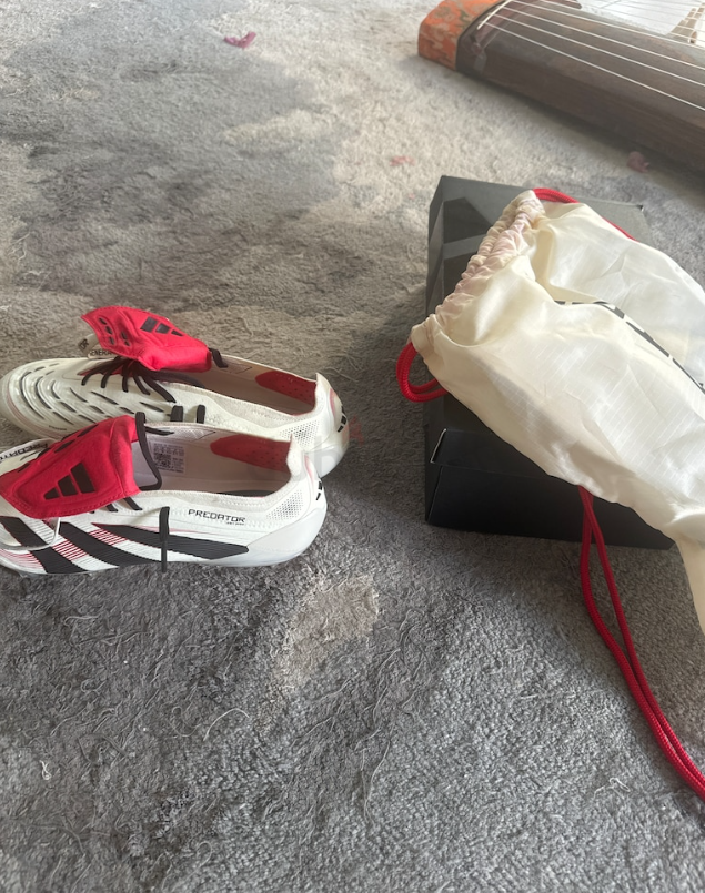 Football boots adidas predators