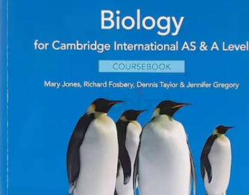 Screenshot-2025-02-09-204210