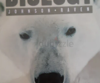 Screenshot-2025-02-09-205446