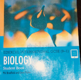 Screenshot-2025-02-09-210803