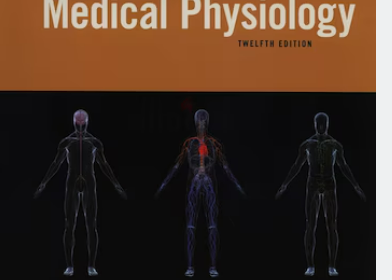 Screenshot-2025-02-09-213417