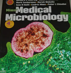 Screenshot-2025-02-09-214003