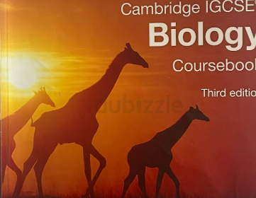 Screenshot-2025-02-10-141338