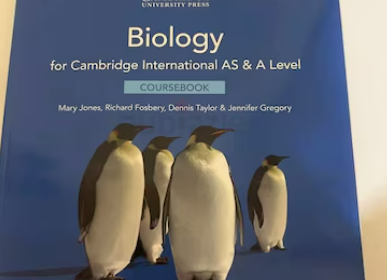 Screenshot-2025-02-10-151927